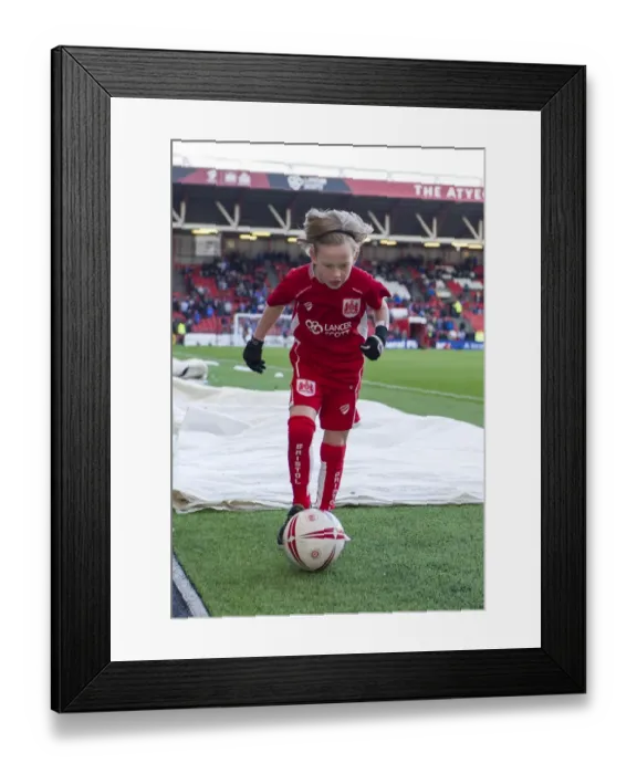 Framed Print : Mascots Face Off: Bristol City vs Reading at Ashton Gate, 2017 Framed Print : Mascots Face Off: Bristol City vs Reading at Ashton Gate, 2017