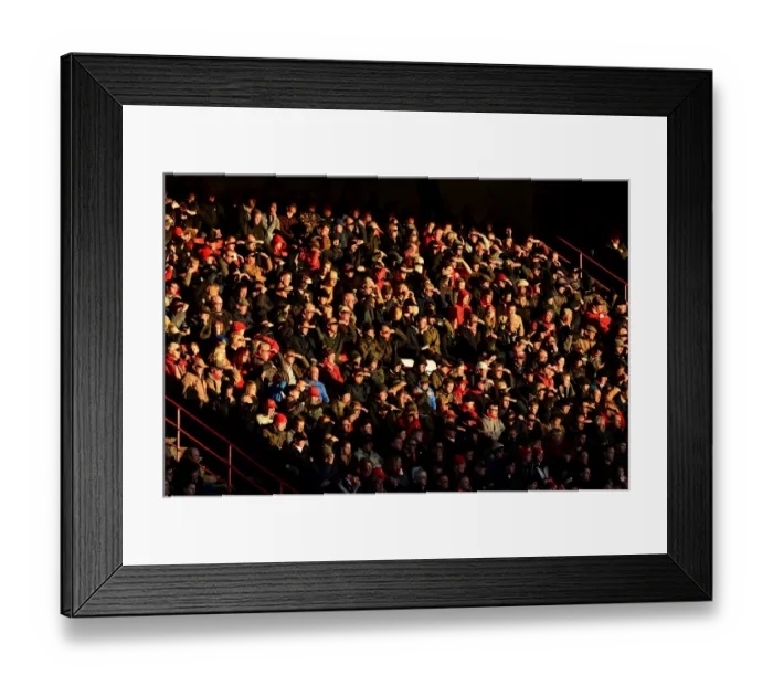 Framed Print : Bristol City Fans Bask in the Sun at Ashton Gate during Bristol City vs. Reading Match, 2017 Framed Print : Bristol City Fans Bask in the Sun at Ashton Gate during Bristol City vs. Reading Match, 2017