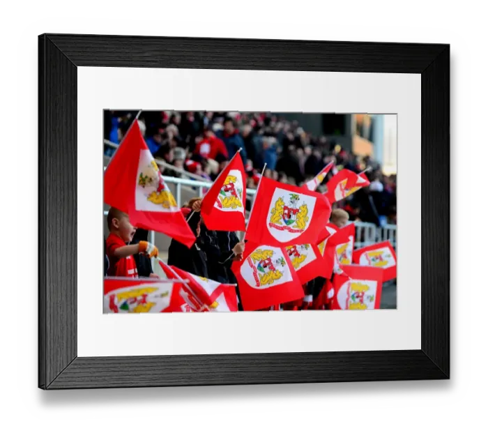 Framed Print : Bristol City Flag Bearers: Bristol City vs. Reading, Sky Bet Championship, Ashton Gate, 2017 Framed Print : Bristol City Flag Bearers: Bristol City vs. Reading, Sky Bet Championship, Ashton Gate, 2017