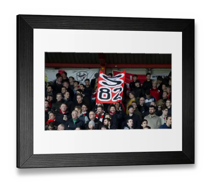 Framed Print : Sky Bet Championship Showdown: Bristol City vs Reading at Ashton Gate - January 2017 Framed Print : Sky Bet Championship Showdown: Bristol City vs Reading at Ashton Gate - January 2017