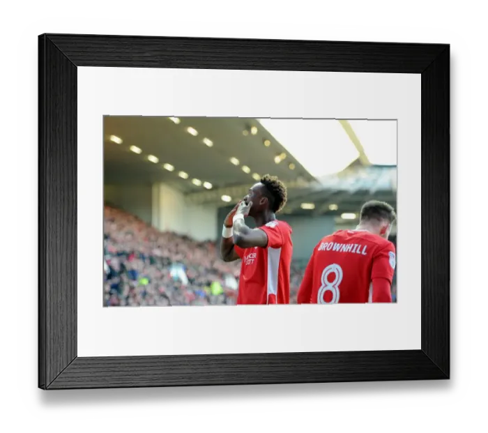 Framed Print : Bristol City's Tammy Abraham Celebrates Goal Against Reading, Sky Bet Championship 2016-2017