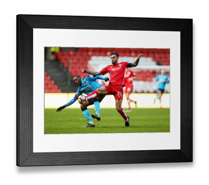 Framed Print : Bristol City v Fleetwood Town 070117