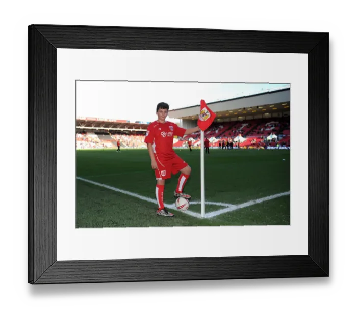 Framed Print : Bristol City vs. Cardiff City: Mascot at Ashton Gate, Sky Bet Championship (January 14, 2017) Framed Print : Bristol City vs. Cardiff City: Mascot at Ashton Gate, Sky Bet Championship (January 14, 2017)