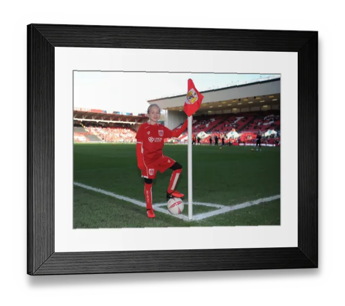 Framed Print : Mascots Face-Off: Bristol City vs. Cardiff City at Ashton Gate - Sky Bet Championship (January 14, 2017) Framed Print : Mascots Face-Off: Bristol City vs. Cardiff City at Ashton Gate - Sky Bet Championship (January 14, 2017)