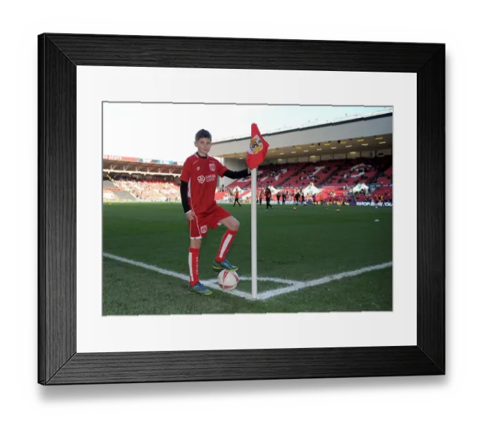 Framed Print : Bristol City vs. Cardiff City: Mascots Clash at Ashton Gate - Sky Bet Championship (January 14, 2017)