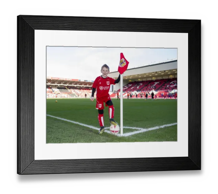 Framed Print : Bristol City vs. Cardiff City: Mascots Clash at Ashton Gate - Sky Bet Championship (14 / 01 / 2017)