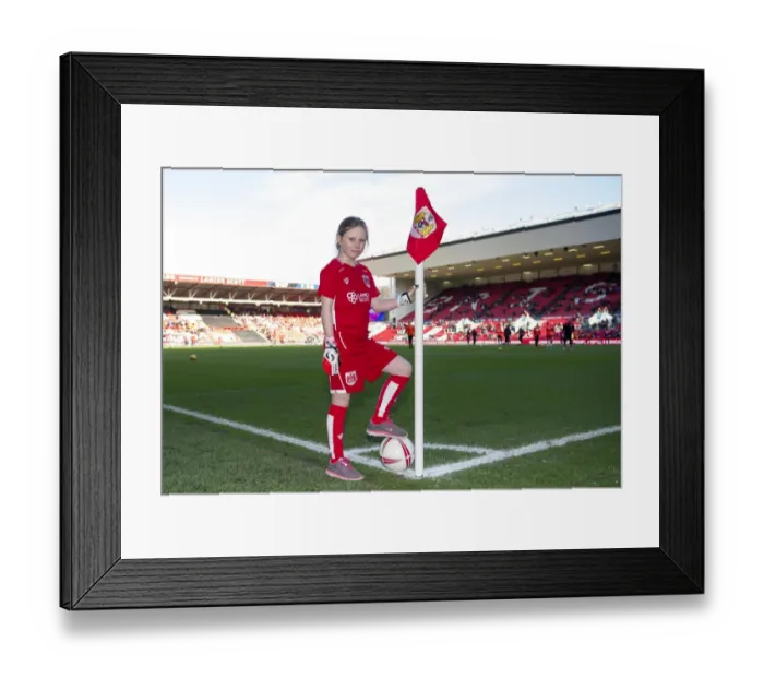 Framed Print : Bristol City vs. Cardiff City: Mascot at Ashton Gate - Sky Bet Championship (14 / 01 / 2017)