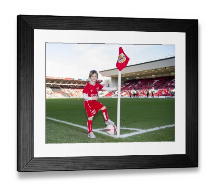 Framed Print : Bristol City vs. Cardiff City: Mascots Face-Off at Ashton Gate - Sky Bet Championship (January 14, 2017)
