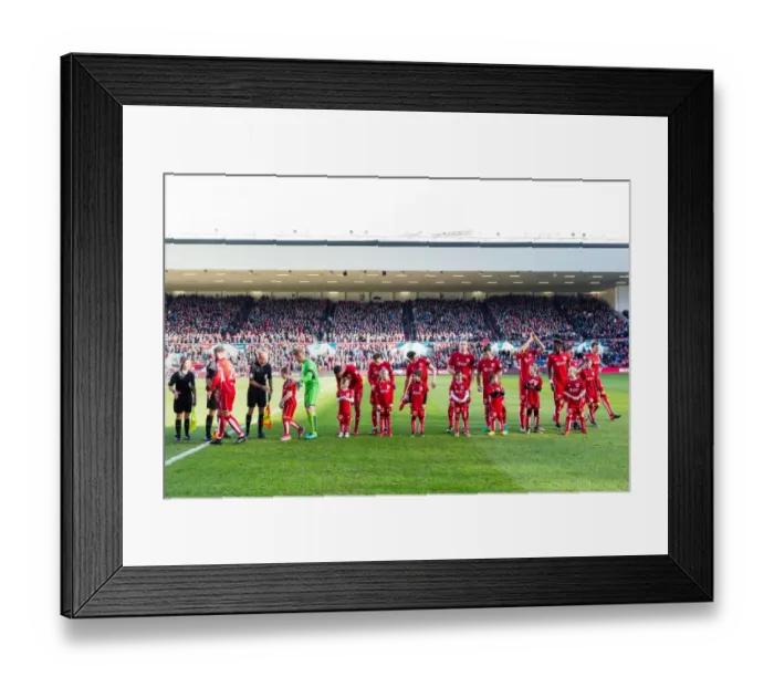 Framed Print : Mascots Clash: Bristol City vs. Cardiff City, Sky Bet Championship Football Match at Ashton Gate Stadium Framed Print : Mascots Clash: Bristol City vs. Cardiff City, Sky Bet Championship Football Match at Ashton Gate Stadium