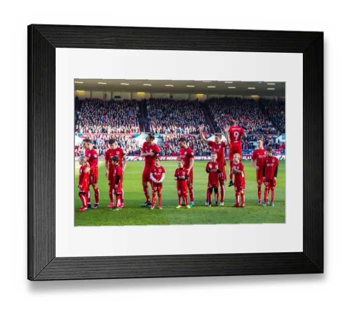 Framed Print : Bristol City vs. Cardiff City Mascot Clash: Sky Bet Championship at Ashton Gate Stadium Framed Print : Bristol City vs. Cardiff City Mascot Clash: Sky Bet Championship at Ashton Gate Stadium