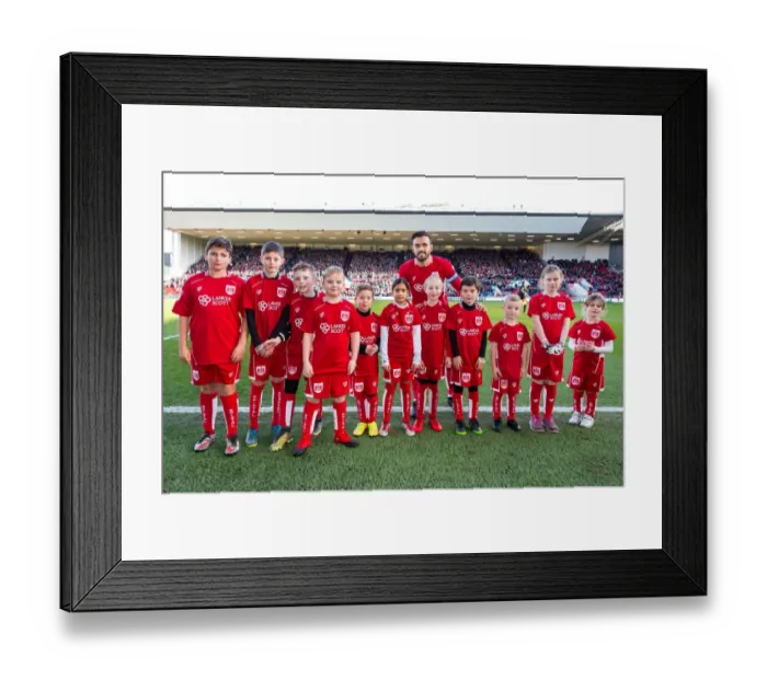 Framed Print : Mascots and Marlon Pack of Bristol City vs Cardiff City, Sky Bet Championship Match, Ashton Gate Stadium, 2017