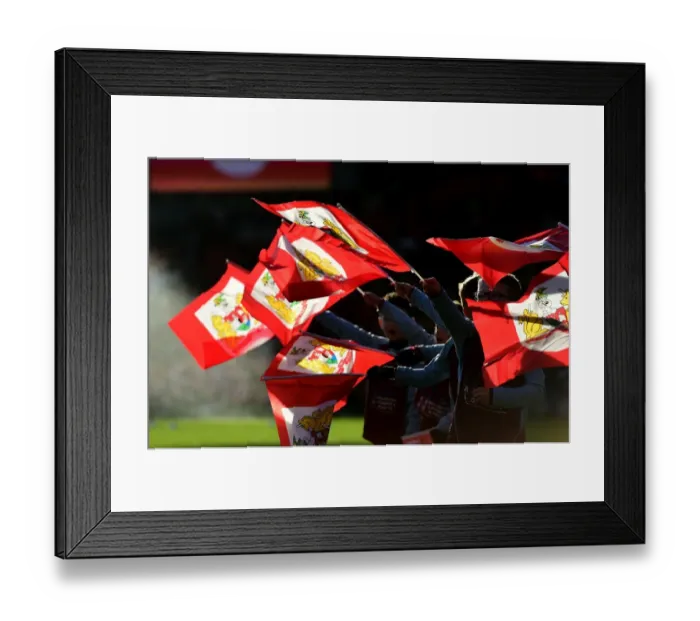 Framed Print : Bristol City vs. Cardiff City: Flag Bearers at Ashton Gate, Sky Bet Championship (January 14, 2017) Framed Print : Bristol City vs. Cardiff City: Flag Bearers at Ashton Gate, Sky Bet Championship (January 14, 2017)