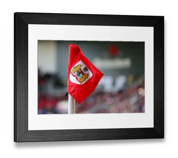 Framed Print : Bristol City vs. Cardiff City: Sky Bet Championship Clash at Ashton Gate Stadium (14 / 01 / 2017) Framed Print : Bristol City vs. Cardiff City: Sky Bet Championship Clash at Ashton Gate Stadium (14 / 01 / 2017)