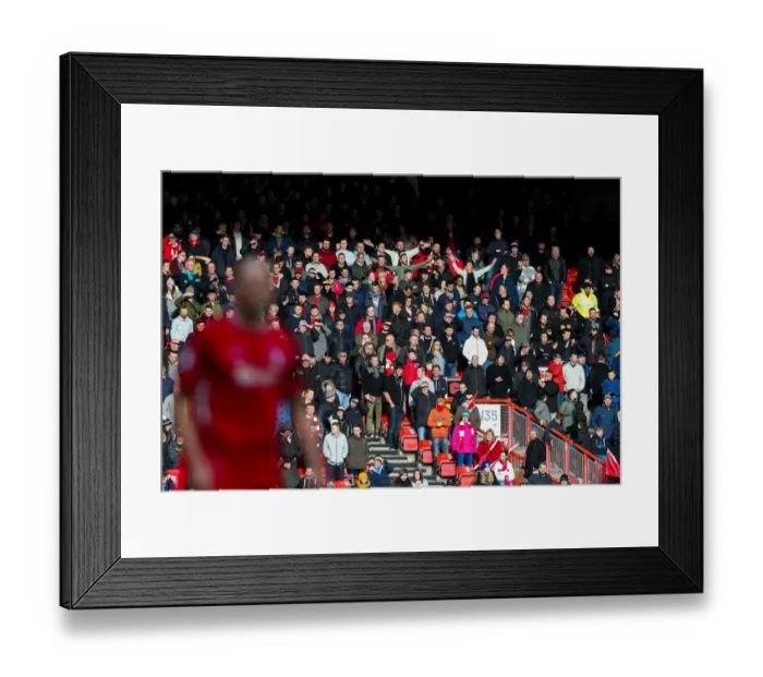 Framed Print : Bristol City vs Cardiff City: A Sea of Passionate Fans at Ashton Gate Stadium, Sky Bet Championship Framed Print : Bristol City vs Cardiff City: A Sea of Passionate Fans at Ashton Gate Stadium, Sky Bet Championship
