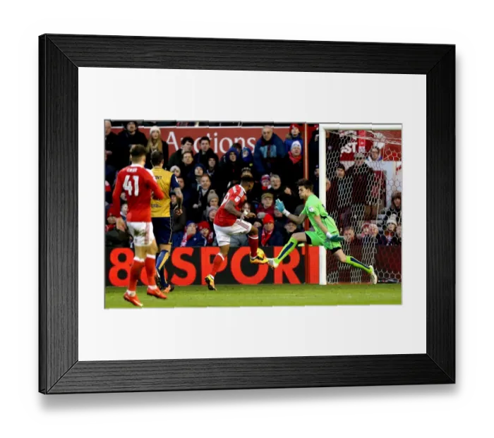 Framed Print : Bristol City's Fabian Giefer Denies Britt Assombalonga: Nottingham Forest vs. Bristol City, 2017 Framed Print : Bristol City's Fabian Giefer Denies Britt Assombalonga: Nottingham Forest vs. Bristol City, 2017