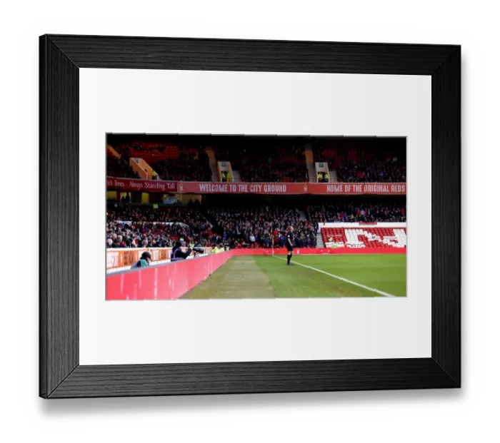 Framed Print : Bristol City Fans at The City Ground, Nottingham Forest vs Bristol City, Sky Bet Championship (January 2017)