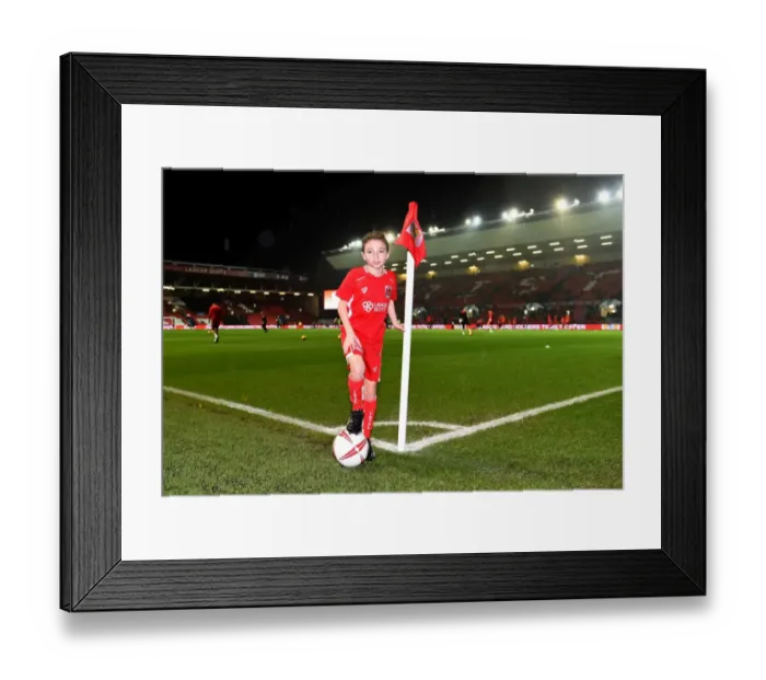 Framed Print : Bristol City vs Sheffield Wednesday Championship Clash at Ashton Gate - January 2017