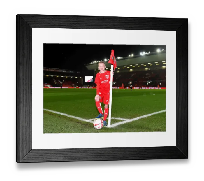 Framed Print : Bristol City v Sheffield Wednesday 310117