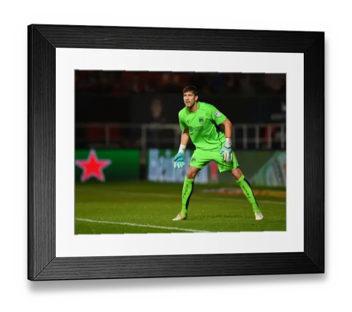 Framed Print : Fabian Giefer in Action: Bristol City vs Sheffield Wednesday (31 / 01 / 2017)