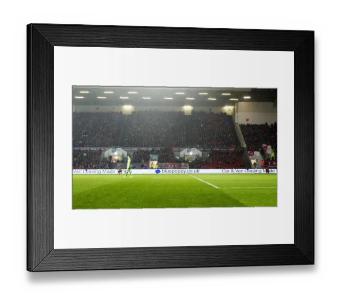 Framed Print : Bristol City vs Sheffield Wednesday Clash in Sky Bet Championship at Ashton Gate: Blue Poppy's Vibrant Stadium Atmosphere (January 2017) Framed Print : Bristol City vs Sheffield Wednesday Clash in Sky Bet Championship at Ashton Gate: Blue Poppy's Vibrant Stadium Atmosphere (January 2017)