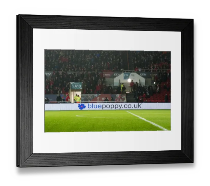 Framed Print : Bristol City vs Sheffield Wednesday Clash: Sky Bet Championship at Ashton Gate - Blue Poppy's Vibrant Atmosphere