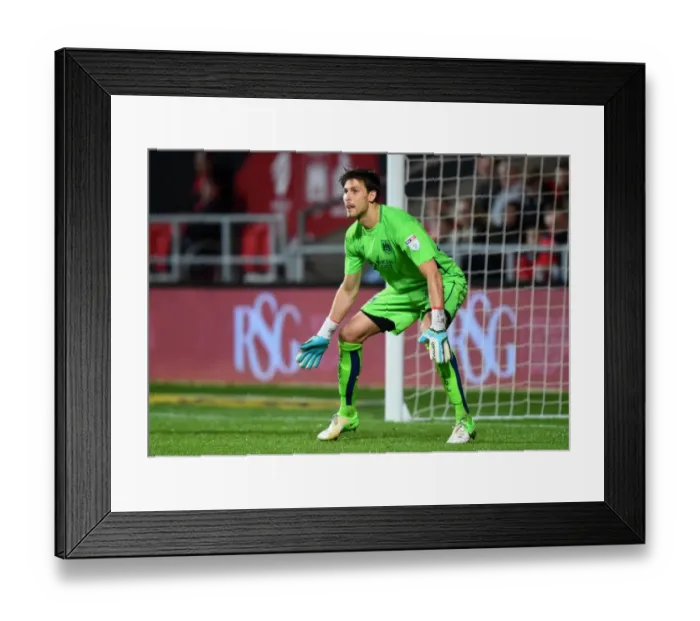 Framed Print : Fabian Giefer in Action: Bristol City vs Sheffield Wednesday, Sky Bet Championship (31st January 2017) Framed Print : Fabian Giefer in Action: Bristol City vs Sheffield Wednesday, Sky Bet Championship (31st January 2017)