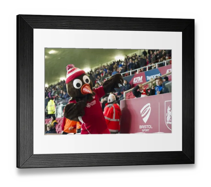 Framed Print : Sky Bet Championship Showdown: A Clash at Ashton Gate - Bristol City vs Sheffield Wednesday (January 2017)