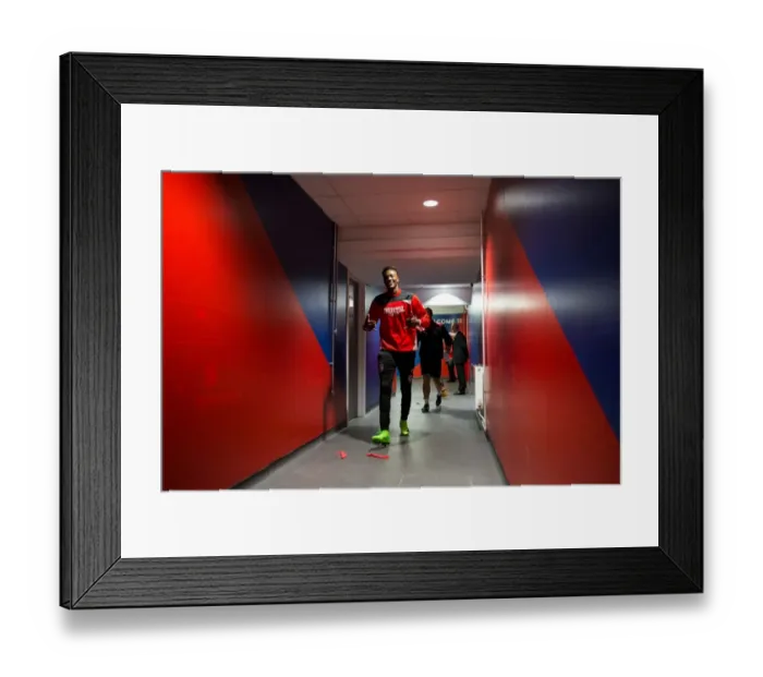 Framed Print : Tammy Abraham Heads to the Tunnel: Bristol City vs Sheffield Wednesday, Sky Bet Championship (January 2017) Framed Print : Tammy Abraham Heads to the Tunnel: Bristol City vs Sheffield Wednesday, Sky Bet Championship (January 2017)