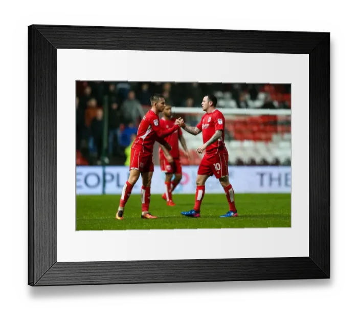 Framed Print : Bristol City: Lee Tomlin Thanks Josh Brownhill After Early Substitution vs. Sheffield Wednesday (31st January 2017) Framed Print : Bristol City: Lee Tomlin Thanks Josh Brownhill After Early Substitution vs. Sheffield Wednesday (31st January 2017)