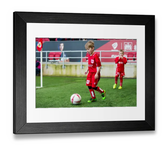 Framed Print : Bristol City vs Rotherham United Mascot Clash, Sky Bet Championship - Ashton Gate Stadium