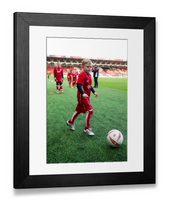 Framed Print : Bristol City vs Rotherham United: Mascot Clash at Ashton Gate Stadium - Sky Bet Championship Framed Print : Bristol City vs Rotherham United: Mascot Clash at Ashton Gate Stadium - Sky Bet Championship