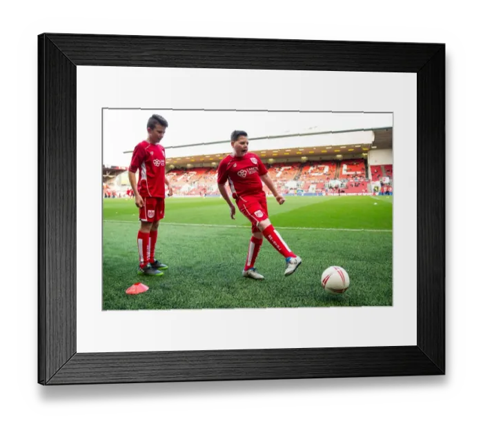 Framed Print : Bristol City vs Rotherham United Mascots Clash in Sky Bet Championship, Ashton Gate Stadium Framed Print : Bristol City vs Rotherham United Mascots Clash in Sky Bet Championship, Ashton Gate Stadium