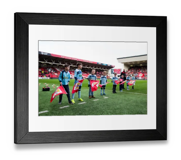 Framed Print : Bristol City Flag-Bearing Fans in Action at Ashton Gate Stadium Framed Print : Bristol City Flag-Bearing Fans in Action at Ashton Gate Stadium