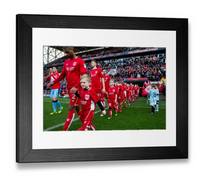 Framed Print : Bristol City vs Rotherham United Mascot Showdown: Sky Bet Championship, Ashton Gate Stadium