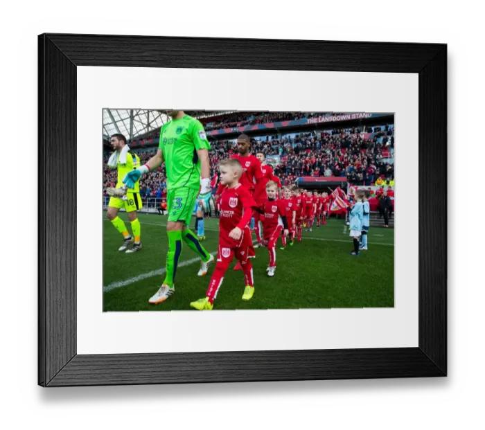 Framed Print : Bristol City vs Rotherham United Mascot Showdown: Sky Bet Championship, Ashton Gate Stadium Framed Print : Bristol City vs Rotherham United Mascot Showdown: Sky Bet Championship, Ashton Gate Stadium