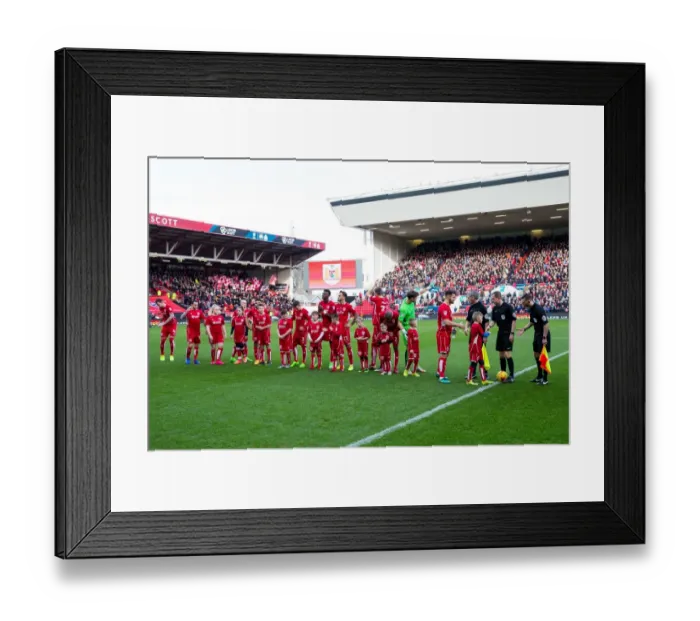 Framed Print : Bristol City vs Rotherham United: Mascot Showdown at Ashton Gate Stadium - Sky Bet Championship Framed Print : Bristol City vs Rotherham United: Mascot Showdown at Ashton Gate Stadium - Sky Bet Championship