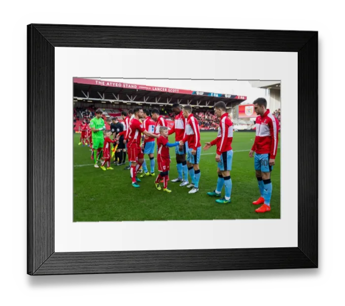 Framed Print : Bristol City vs Rotherham United Mascot Clash, Sky Bet Championship - Ashton Gate Stadium Framed Print : Bristol City vs Rotherham United Mascot Clash, Sky Bet Championship - Ashton Gate Stadium