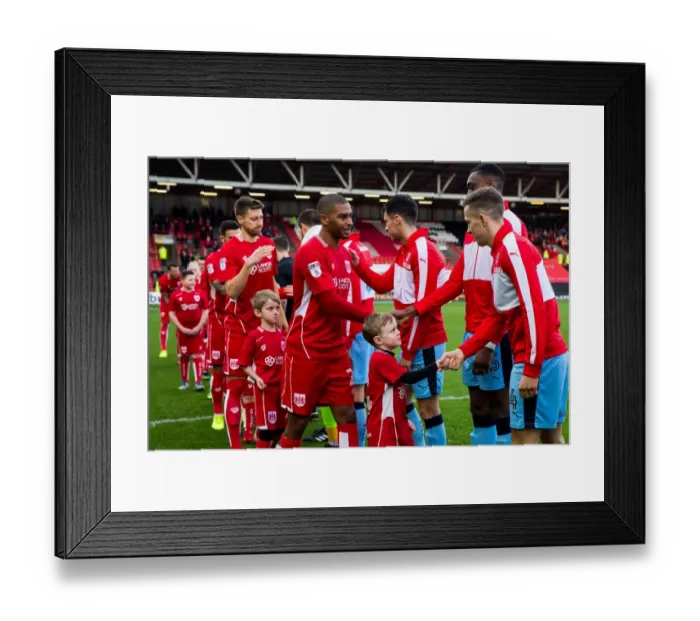 Framed Print : Bristol City vs Rotherham United Mascots Clash: Sky Bet Championship, Ashton Gate Stadium