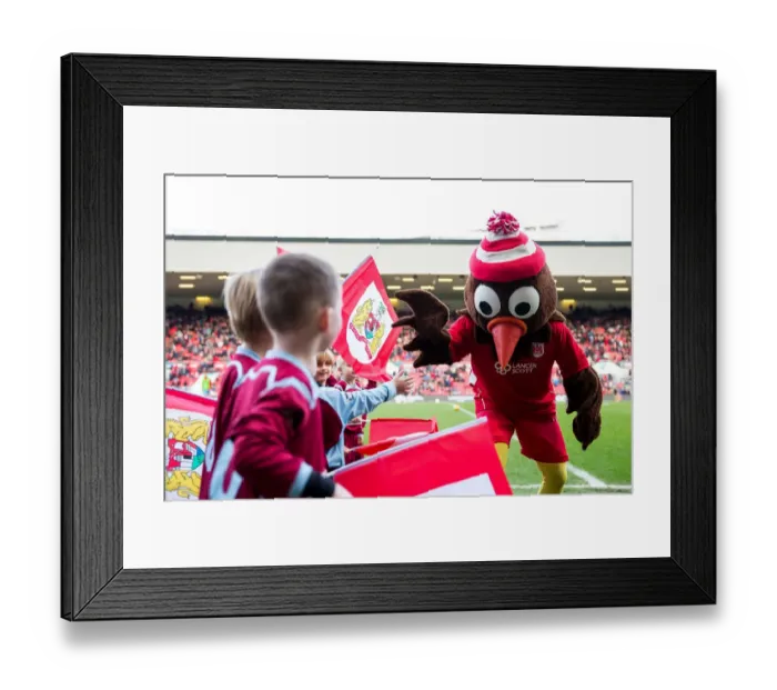Framed Print : Flag-Bearing Fans at Ashton Gate Stadium: Bristol City vs Rotherham United, Sky Bet Championship Framed Print : Flag-Bearing Fans at Ashton Gate Stadium: Bristol City vs Rotherham United, Sky Bet Championship