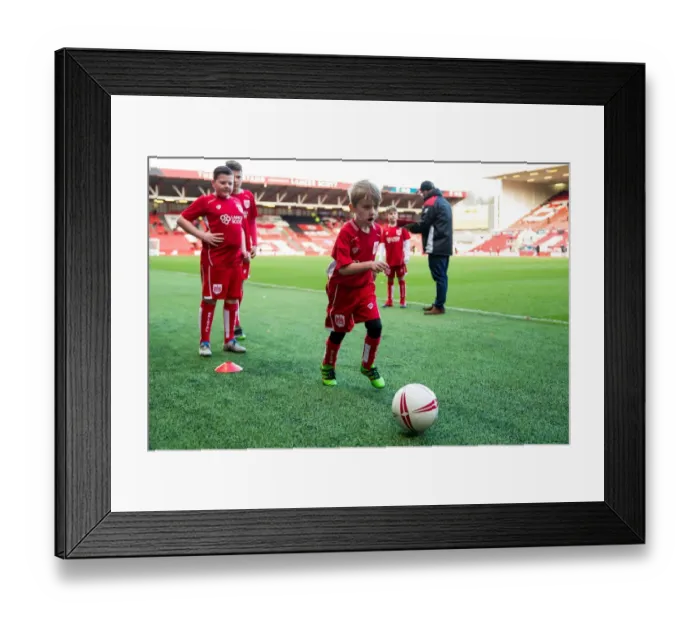 Framed Print : Bristol City vs Rotherham United Mascot Showdown: Sky Bet Championship, Ashton Gate Stadium Framed Print : Bristol City vs Rotherham United Mascot Showdown: Sky Bet Championship, Ashton Gate Stadium