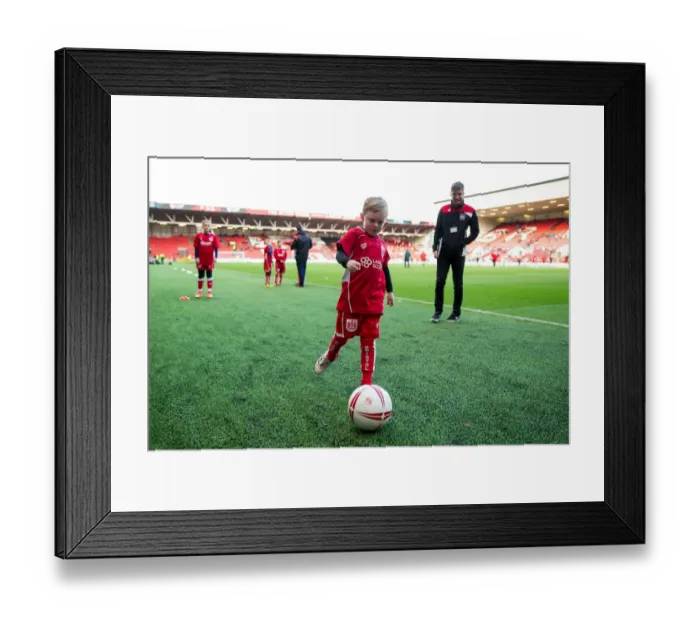 Framed Print : Mascot Showdown: Bristol City vs Rotherham United, Sky Bet Championship - Ashton Gate Stadium Framed Print : Mascot Showdown: Bristol City vs Rotherham United, Sky Bet Championship - Ashton Gate Stadium