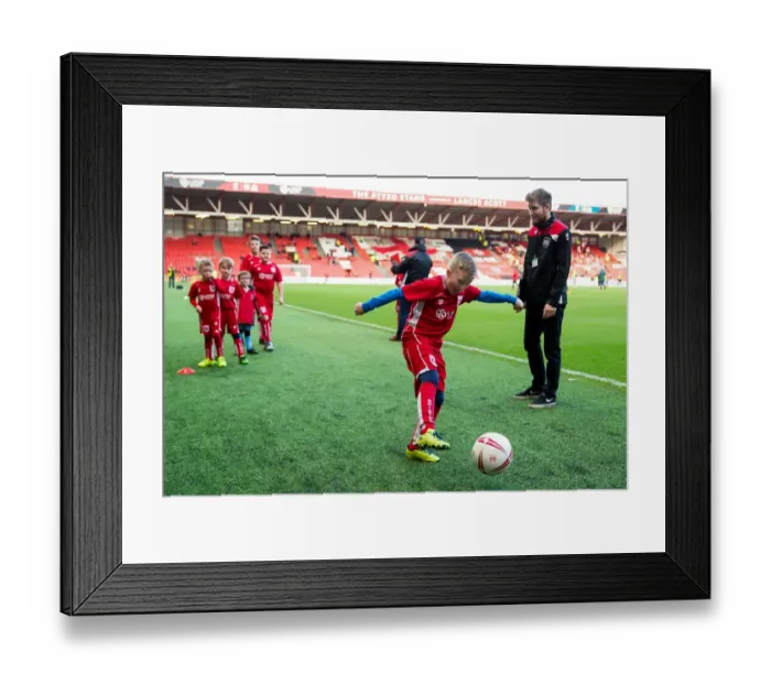 Framed Print : Mascots Face-Off: Bristol City vs Rotherham United, Sky Bet Championship, Ashton Gate Stadium Framed Print : Mascots Face-Off: Bristol City vs Rotherham United, Sky Bet Championship, Ashton Gate Stadium