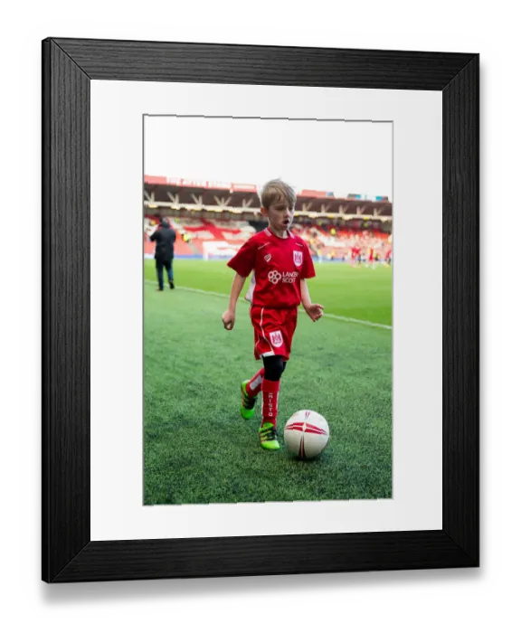 Framed Print : Bristol City vs Rotherham United Mascot Clash: Sky Bet Championship, Ashton Gate Stadium Framed Print : Bristol City vs Rotherham United Mascot Clash: Sky Bet Championship, Ashton Gate Stadium