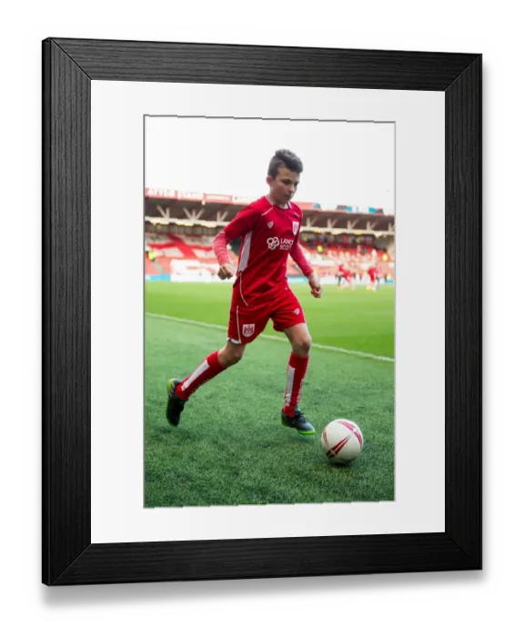 Framed Print : Bristol City vs Rotherham United Mascot Showdown: Sky Bet Championship, Ashton Gate Stadium Framed Print : Bristol City vs Rotherham United Mascot Showdown: Sky Bet Championship, Ashton Gate Stadium