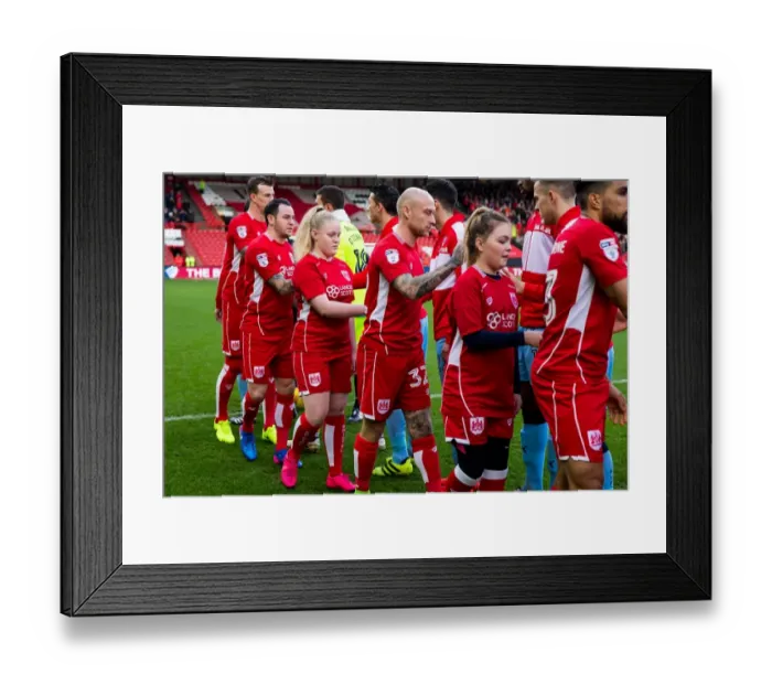 Framed Print : Bristol City vs Rotherham United Mascot Clash: Sky Bet Championship, Ashton Gate Stadium Framed Print : Bristol City vs Rotherham United Mascot Clash: Sky Bet Championship, Ashton Gate Stadium