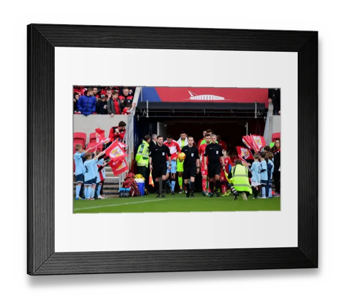 Framed Print : Bristol City Players Make Their Entry: Sky Bet Championship Showdown Against Rotherham United at Ashton Gate (February 2017) Framed Print : Bristol City Players Make Their Entry: Sky Bet Championship Showdown Against Rotherham United at Ashton Gate (February 2017)