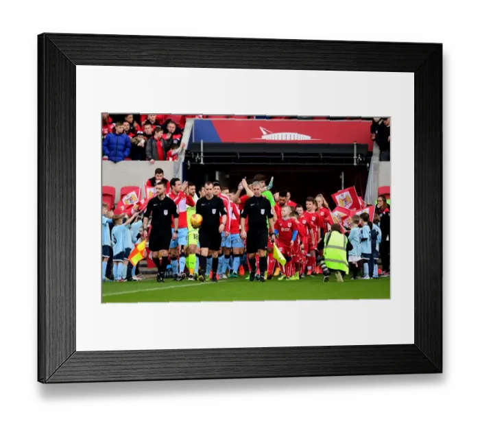 Framed Print : Bristol City Players Walk Out at Ashton Gate - Sky Bet Championship Clash Against Rotherham United (04.02.2017)