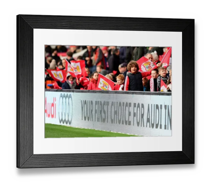 Framed Print : Bristol City Flag Bearers at Ashton Gate: Bristol City vs Rotherham United, Sky Bet Championship (04.02.2017) Framed Print : Bristol City Flag Bearers at Ashton Gate: Bristol City vs Rotherham United, Sky Bet Championship (04.02.2017)