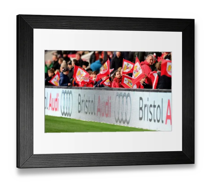 Framed Print : Bristol City Flag Bearers at Ashton Gate during Bristol City vs Rotherham United, Sky Bet Championship Match, 04 / 02 / 2017