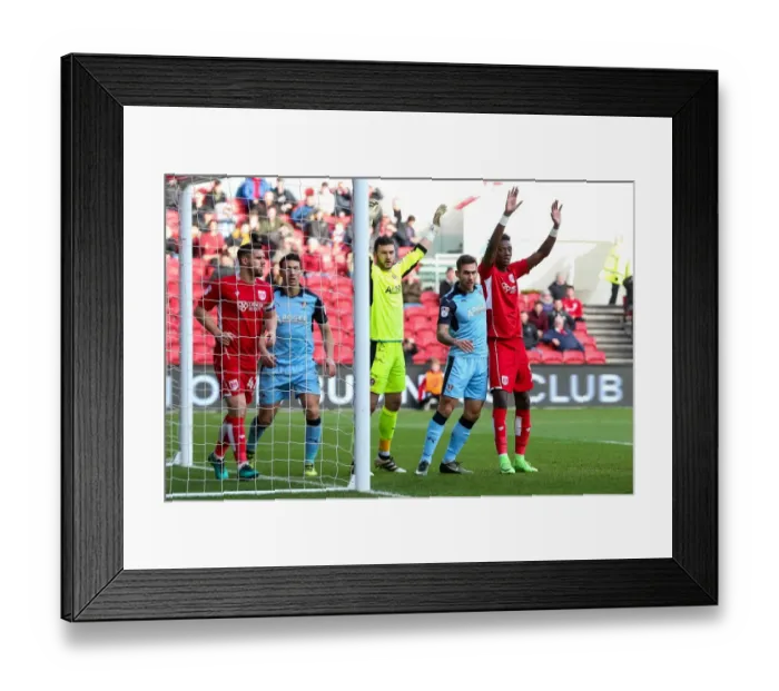 Framed Print : Tammy Abraham in Action: Bristol City vs Rotherham United at Ashton Gate Stadium, 2017